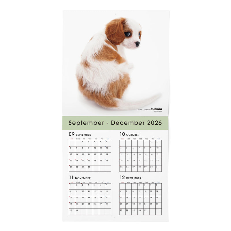 THE DOG 2027 Wall Calendar Mini Size [Shetland Sheepdog]