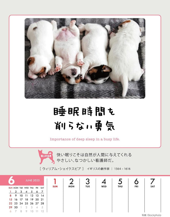 Try-X Only One Chance at Life! 2025 Desk Wall Calendar CL-383 18 x 14cm