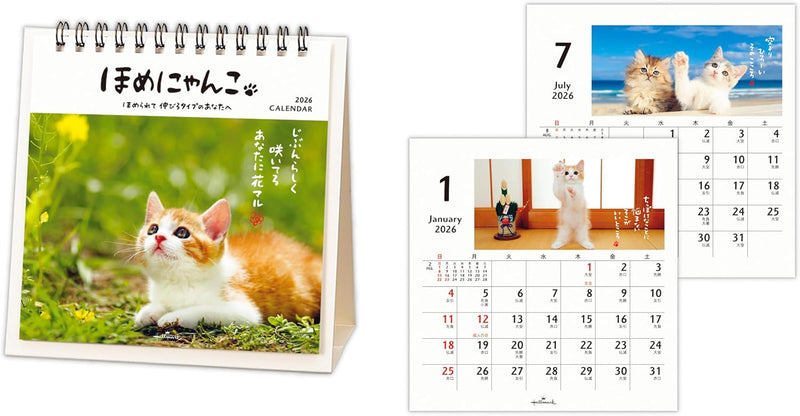 Hallmark 2026 Desk Calendar Homenyanko 845551