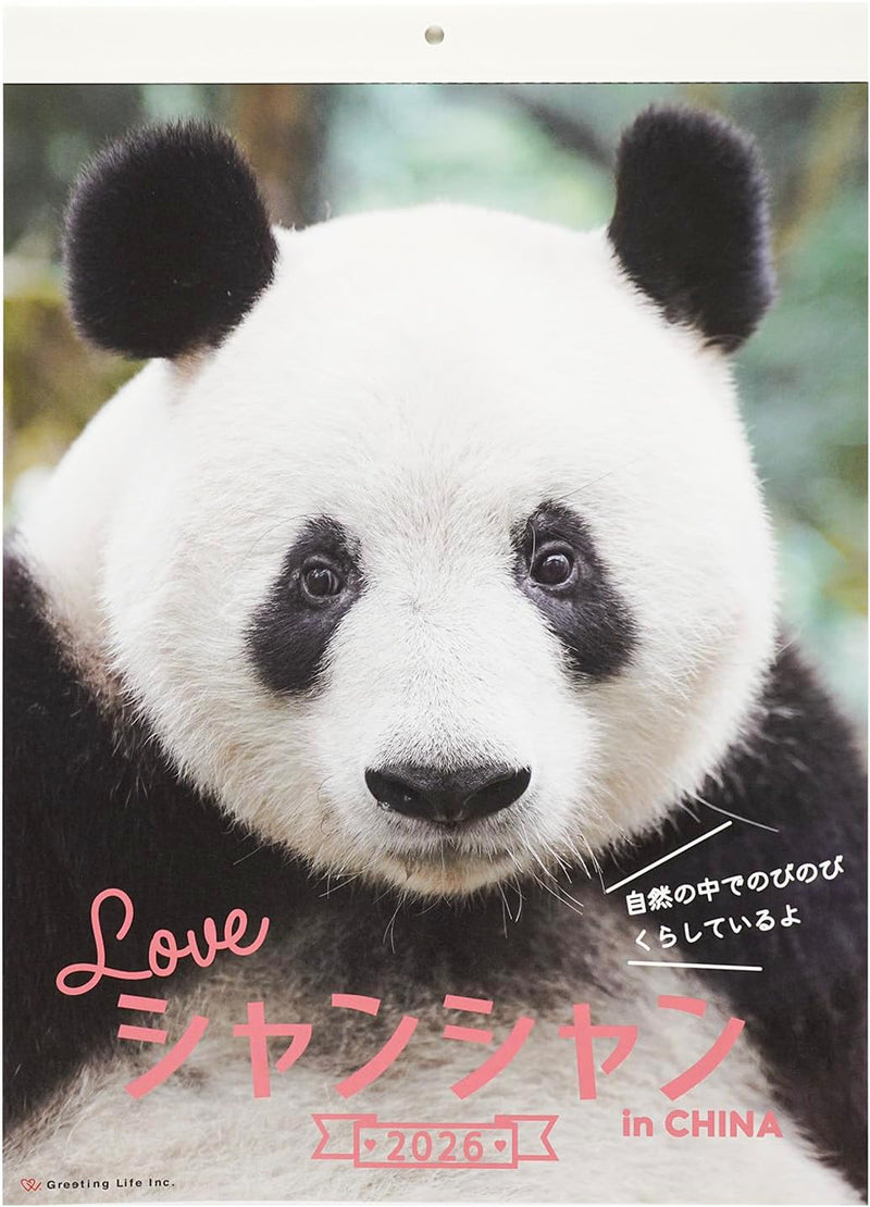 Greeting Life 2026 Wall Calendar Xiang Xiang Panda C-1740-PA
