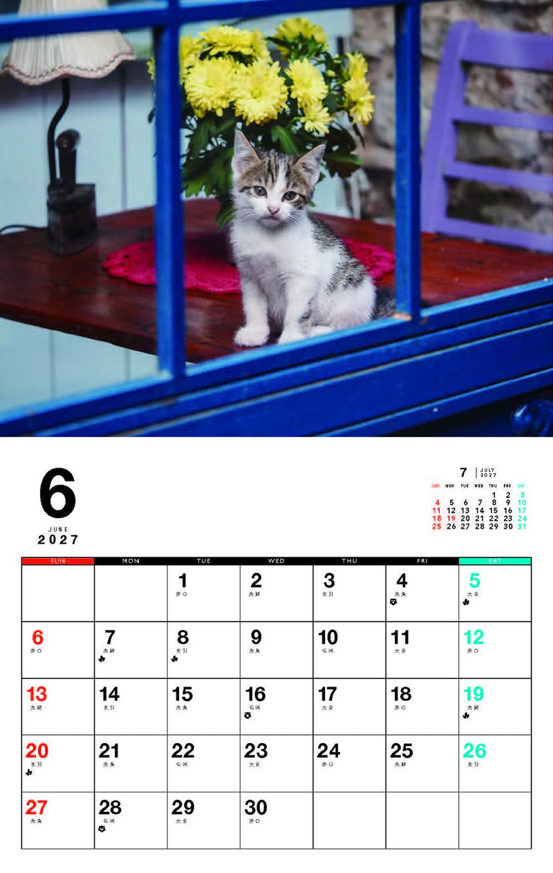 Kittens Calenddar 2027 (Monthly/Wall Calendar)