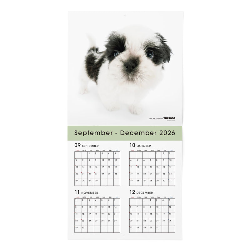 THE DOG 2027 Wall Calendar Large Size [Shih Tzu]