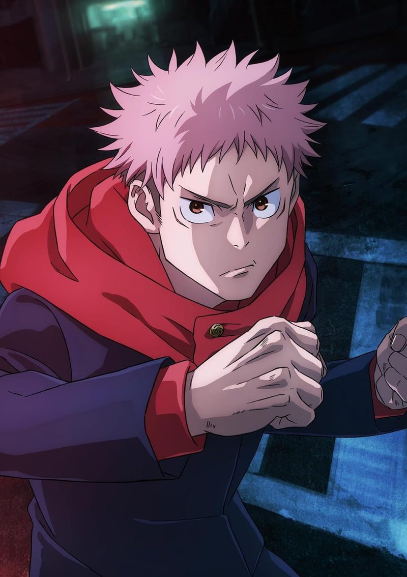 Jujutsu Kaisen Shibuya Incident 1 DVD (Limited First-Press Edition)