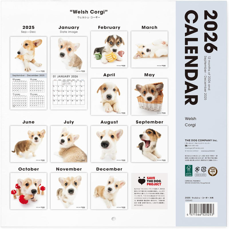 THE DOG 2026 Wall Calendar Large Size [Welsh Corgi]