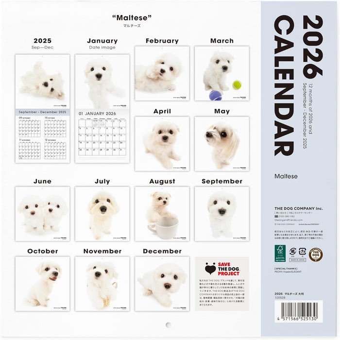 THE DOG 2026 Wall Calendar Large Size [Maltese]