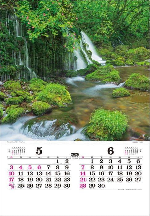 Todan 2026 Wall Calendar Japan (Film) TD-501 CL26-1042