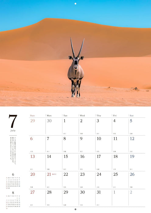 Spectacular Scenery and Animal Calendar 2025 (Wall Calendar)