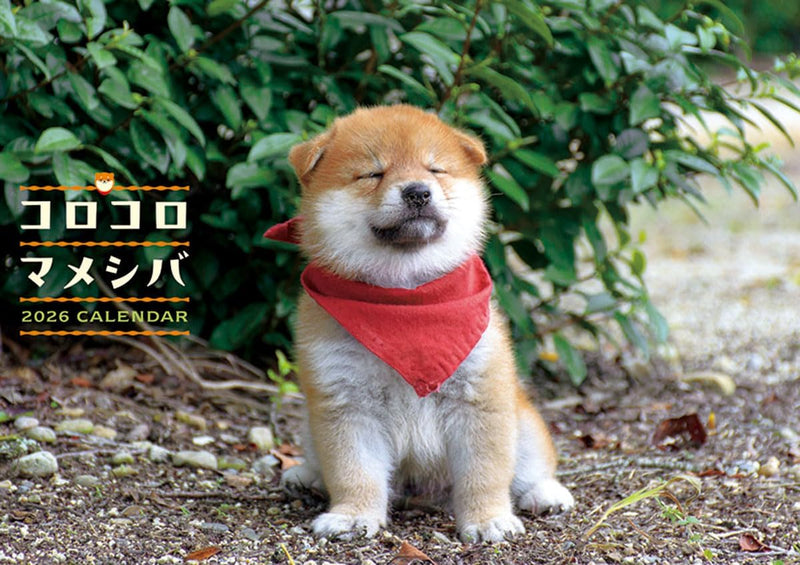 Try-X 2026 Wall Calendar Korokoro Mameshiba CL-381 51x36cm