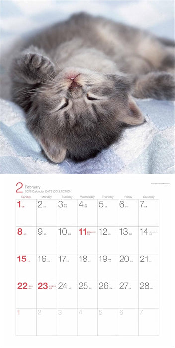 2026 Calendar Cats Collection
