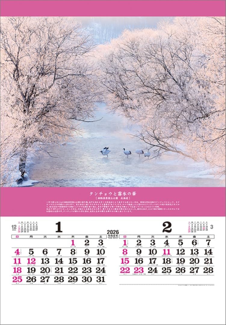Todan 2026 Wall Calendar Miraculous Scenery: Inviting Good Fortune (Film) TD-504 CL26-1045