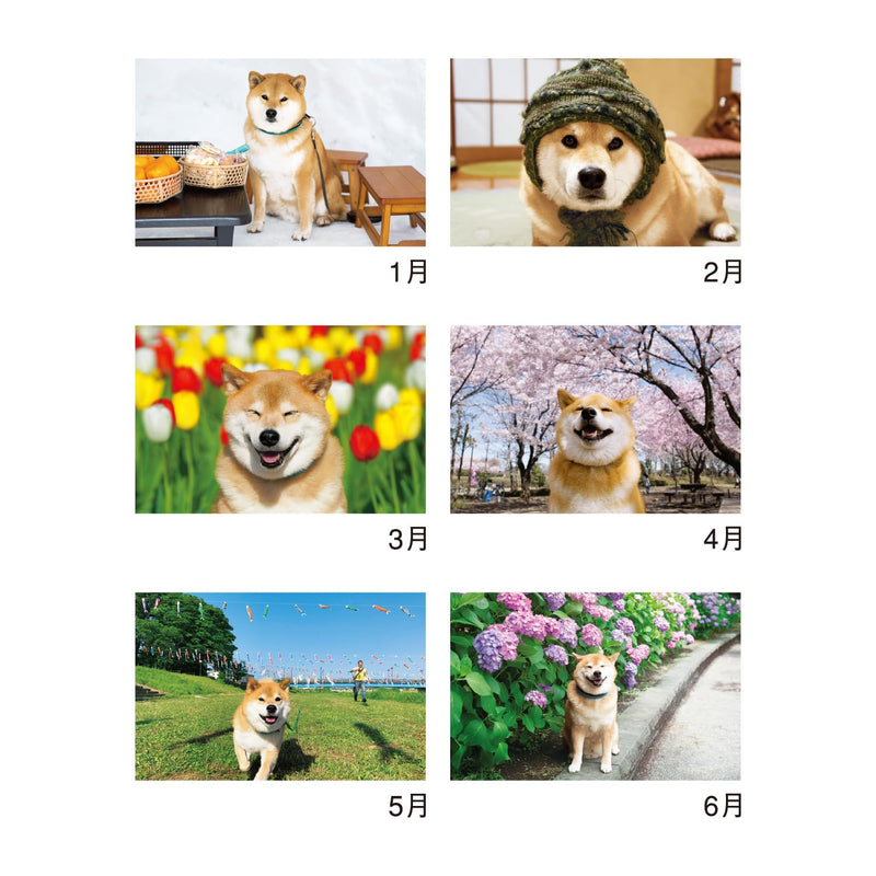 New Japan Calendar 2027 Wall Calendar Walk with Shiba Inu Maru Calendar NK35