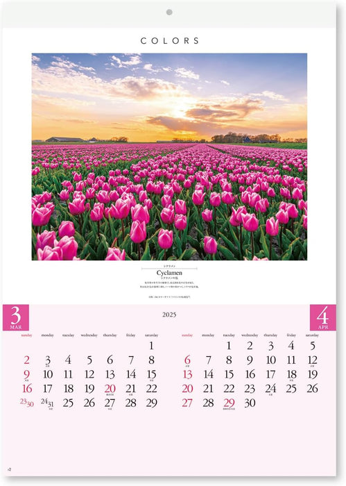 New Japan Calendar 2025 Wall Calendar COLORS NK40