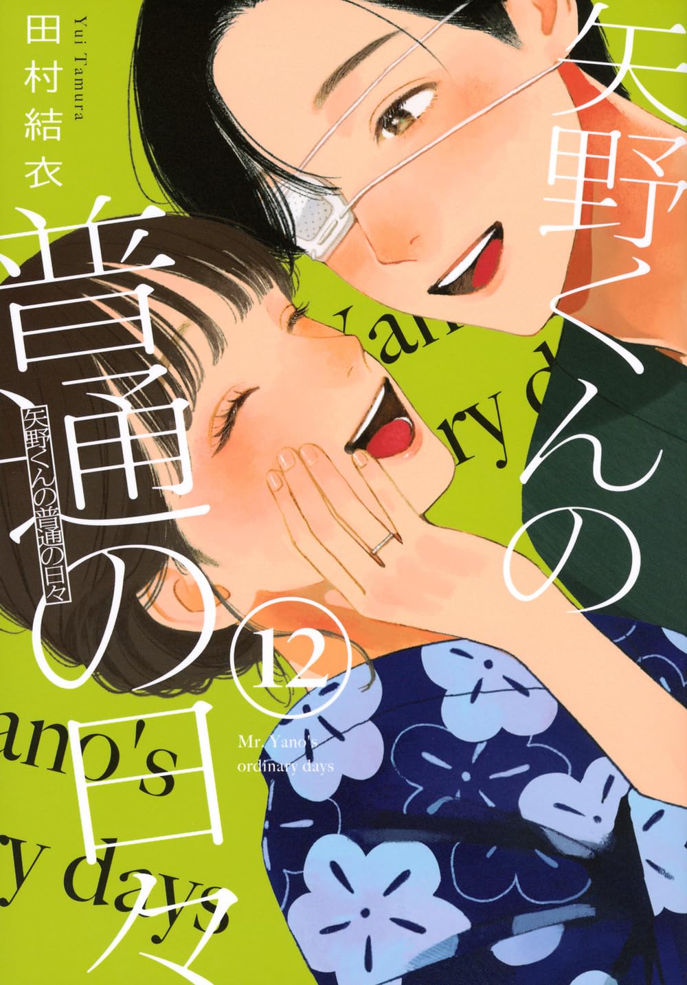 Yano-kun no Futsuu no Hibi 12 — Japanese Book Store