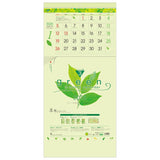 Todan 2025 Wall Calendar Green 3-Month eco (From Top to Bottom Type / Perforated) 75 x 35cm TD-30787