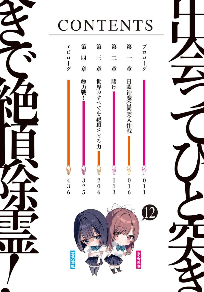 Deatte Hitotsuki de Zecchou Jorei! 12 (Light Novel)