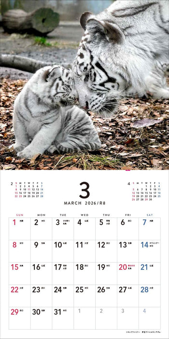 Almost Cats Calendar 2026