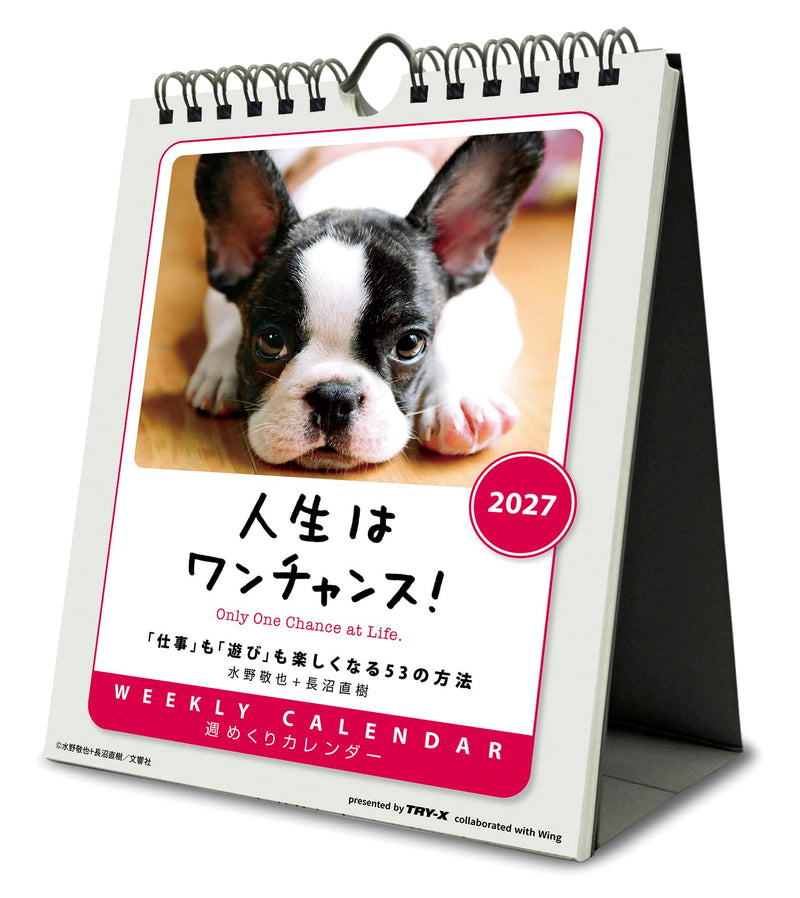Try-X Only One Chance at Life! 2027 Desk Wall Calendar 27CL-383 18 x 14cm