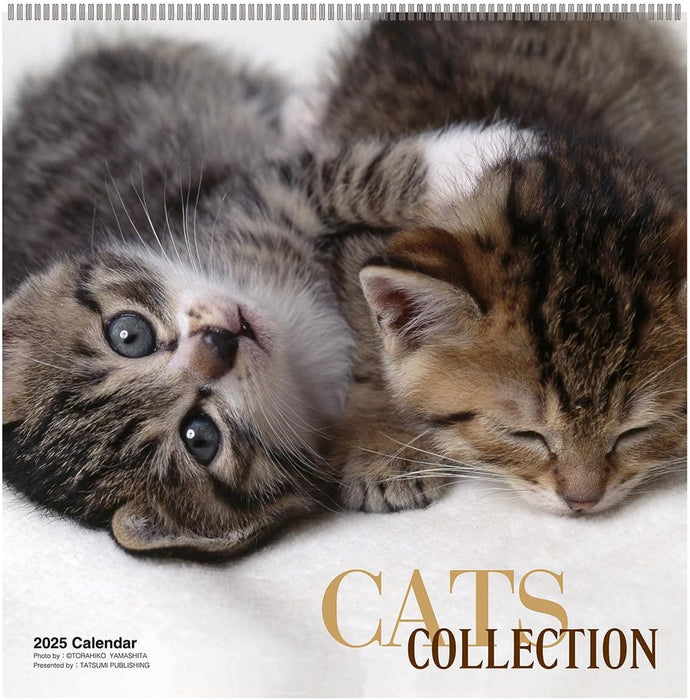 2025 Cats Collection Torahiko Yamashita Calendar No.049