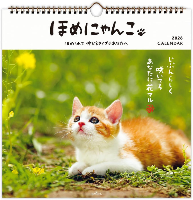 Hallmark 2026 Wall Calendar Homenyanko Large 845308