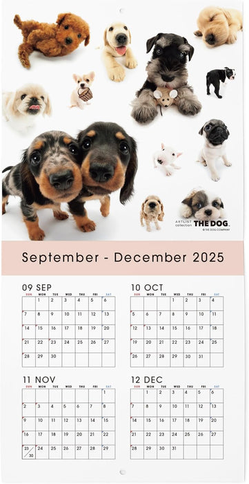 THE DOG 2026 Wall Calendar Mini Size [All Stars]