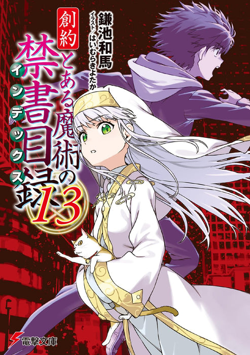 Souyaku Toaru Majutsu no Index 13 (Light Novel)