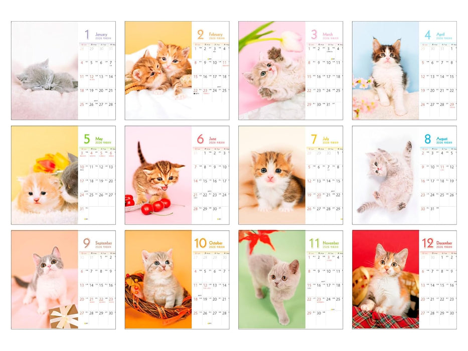 Mofumofu Koneko mini Calendar 2026 (Impress Calendar 2026)