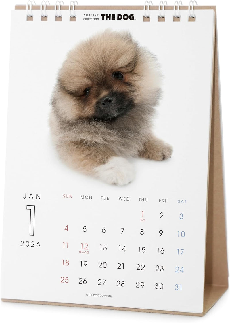 THE DOG 2026 Desk Calendar [Pomeranian]