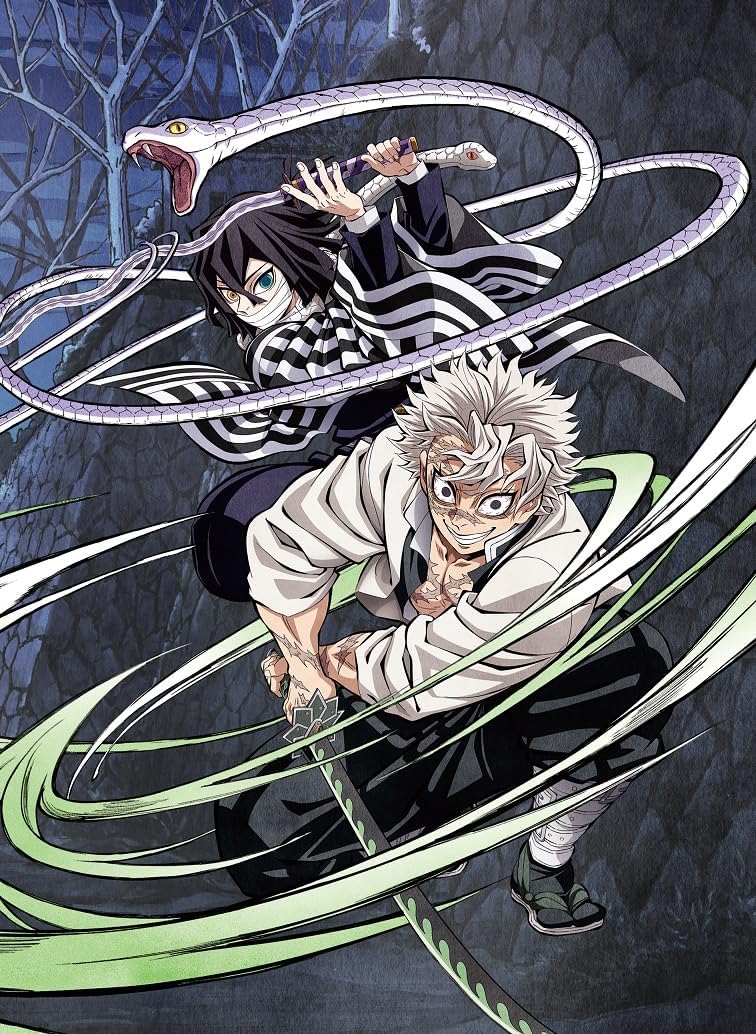 Demon Slayer: Kimetsu no Yaiba Hashira Geiko-hen 1 (Fully Limited Production Edition) [DVD]