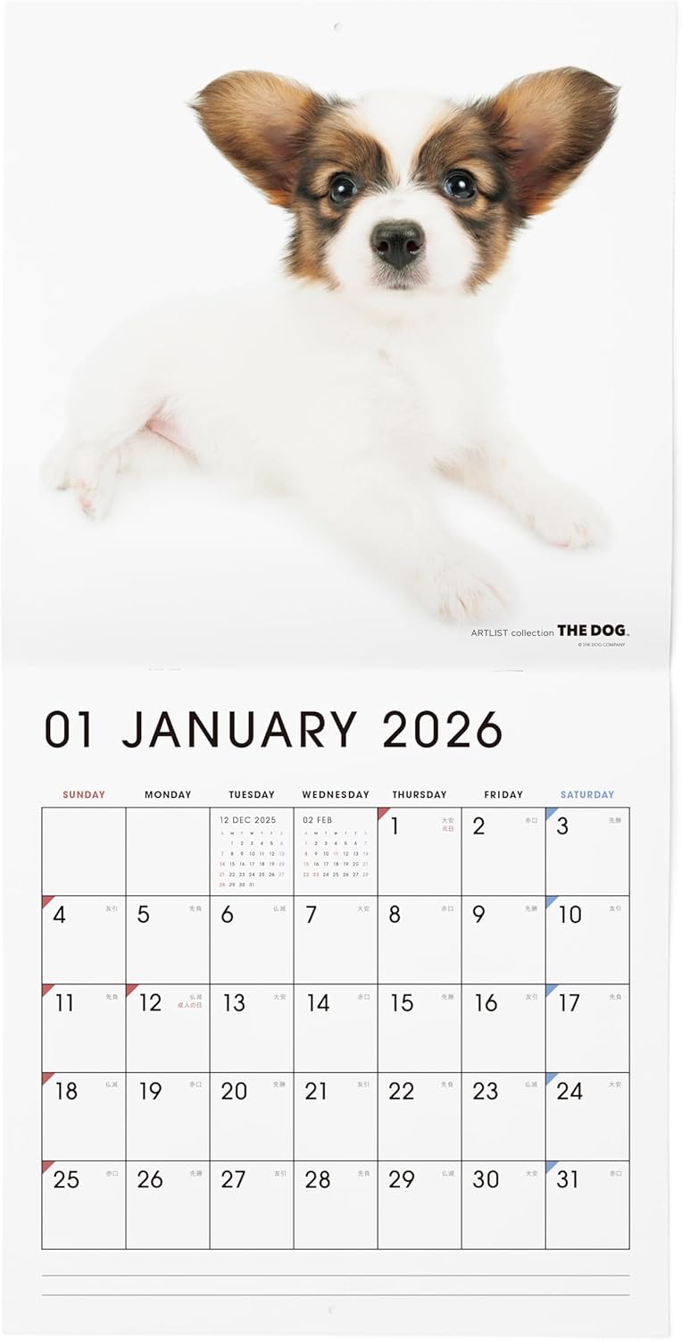 THE DOG 2026 Wall Calendar Large Size [Papillon]