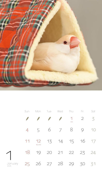 2026 Calendar Java Sparrow (Monthly/Wall Calendar) (Yama-Kei Calendar 2026)