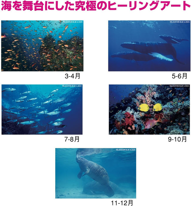 New Japan Calendar 2025 Wall Calendar Relaxation Blue NK32