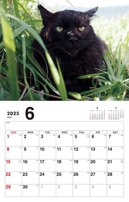 Boss Cat Calendar 2025