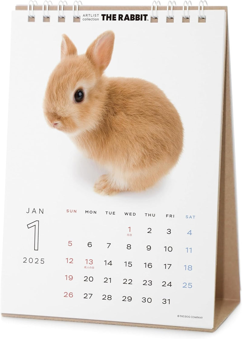 THE RABBIT 2025 Desk Calendar