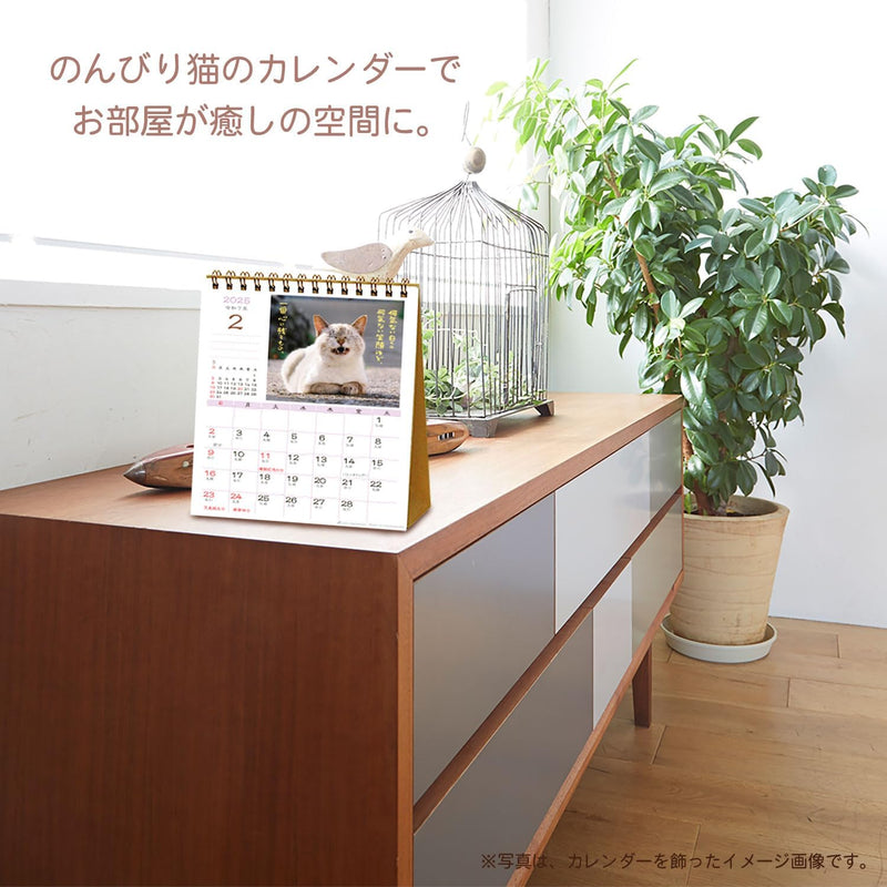 Active Corporation 2025 Desk Calendar Hinatabokko Neko Dayori 25ACL-539