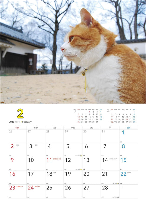 Sanjuro, Cat Lord of the Castle 2025 Calendar