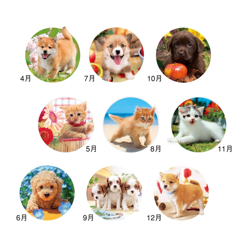 M-PLAN 2027 Cubics Wall Calendar A3 Basic 204110-01-75
