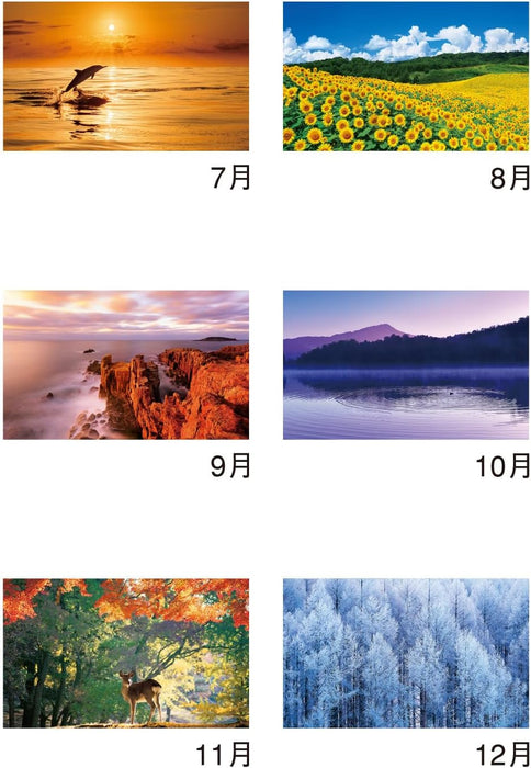 New Japan Calendar 2025 Wall Calendar Forever Japan NK142 610x425mm