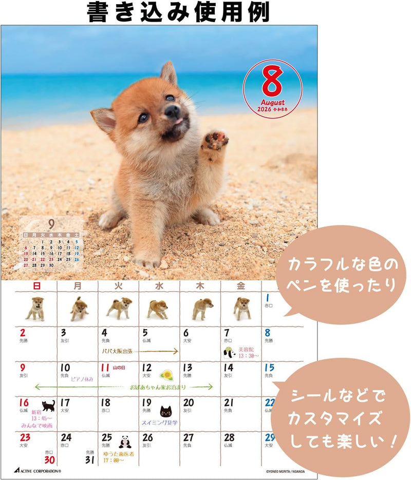 Active Corporation 2026 Desk Calendar Yoneo Morita Marugoto Shibainu 26ACL-543