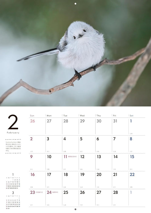 Adorable Wildlife of the Northern Forest Calendar 2025 (Wall Calendar)