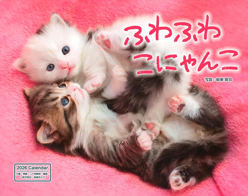 Calendar 2026 Fuwa Fuwa Nyanko (Monthly/Wall Calendar) (Impress Calendar 2026)