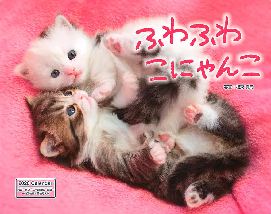 Calendar 2026 Fuwa Fuwa Nyanko (Monthly/Wall Calendar) (Impress Calendar 2026)