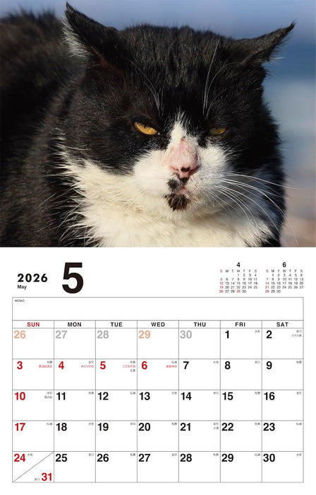 Boss Cat Calendar 2026