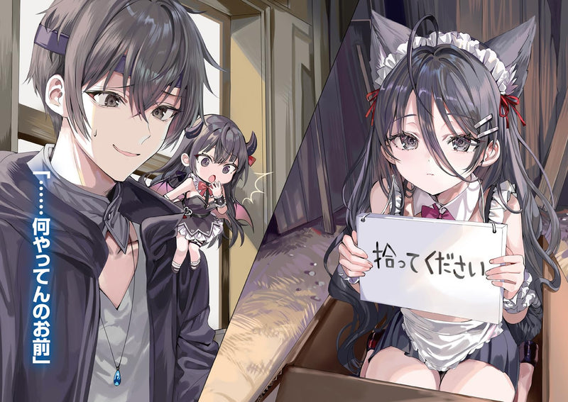 Tokidoki Bosotto Russia-go de Dereru Yuusha no Aalya-san