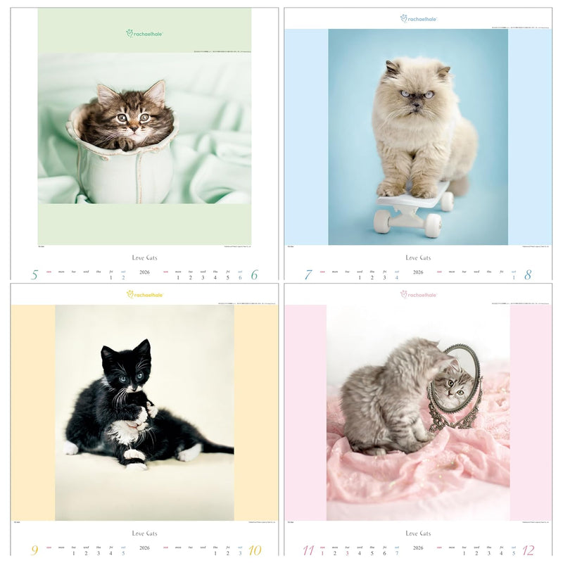 Todan 2026 Wall Calendar Love Cat - Rachel Hale Works - 53.5 x 38cm TD-934
