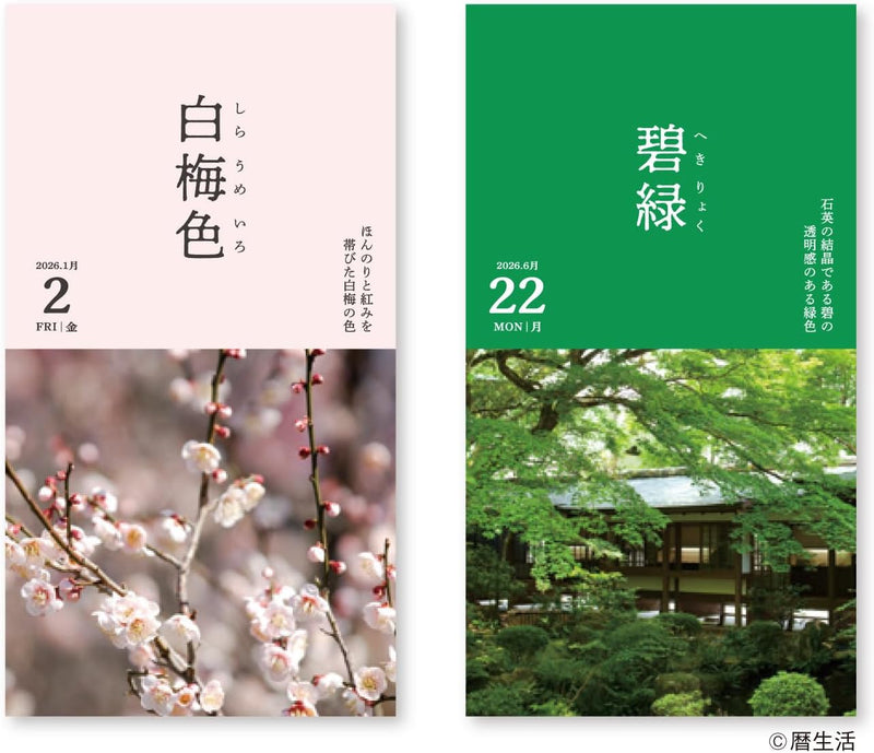 New Japan Calendar 2026 Page-A-Day Calendar Nippon no Iro NK8827 175 x 87 x 35mm
