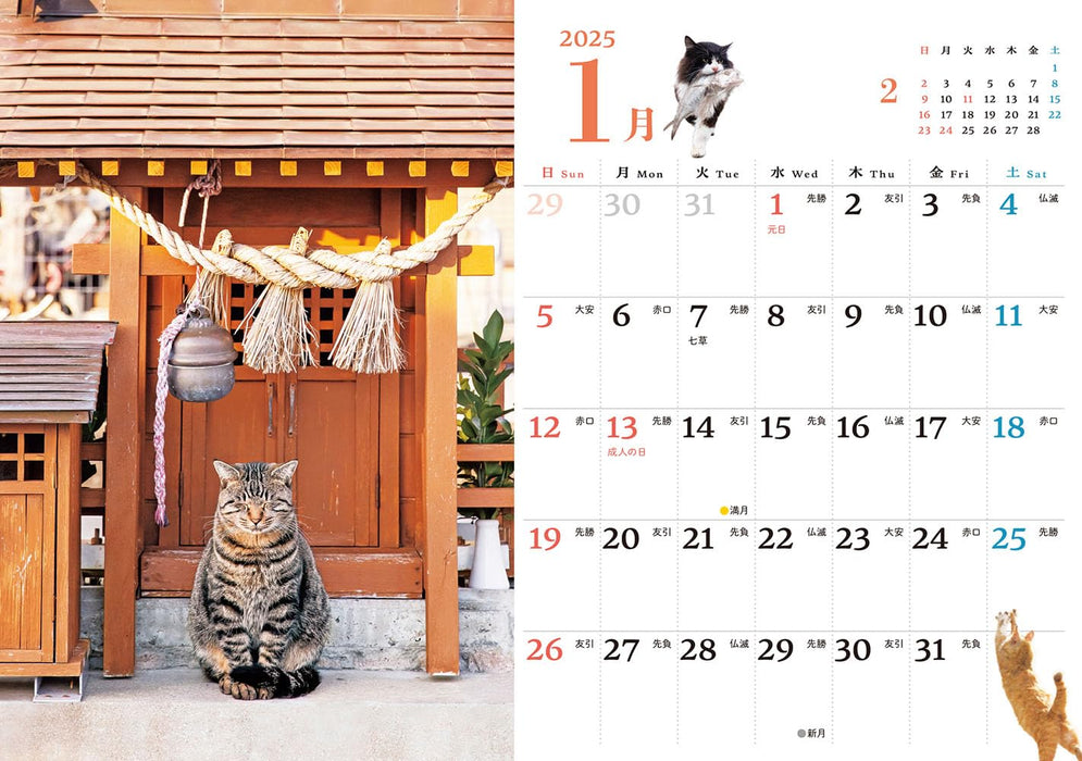 Soto Neko mini Calendar 2025 (Impress Calendar 2025)