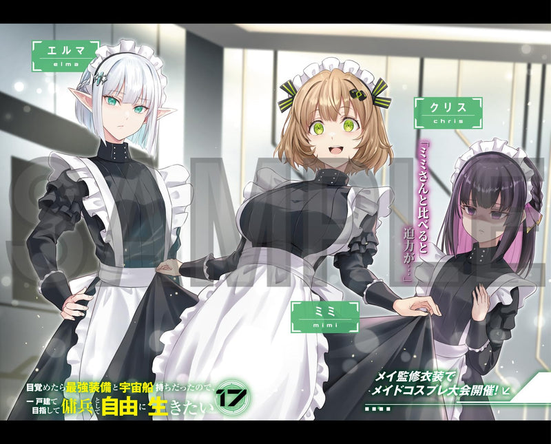 Mezametara Saikyou Soubi to Uchuusen-mochi Datta no de, Ikkodate Mezashite Youhei Toshite Jiyuu ni Ikitai 17 (Light Novel)