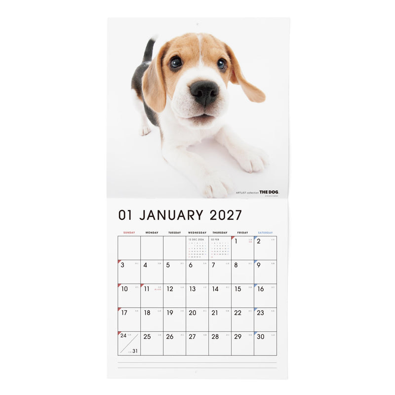 THE DOG 2027 Wall Calendar Large Size [Beagle]