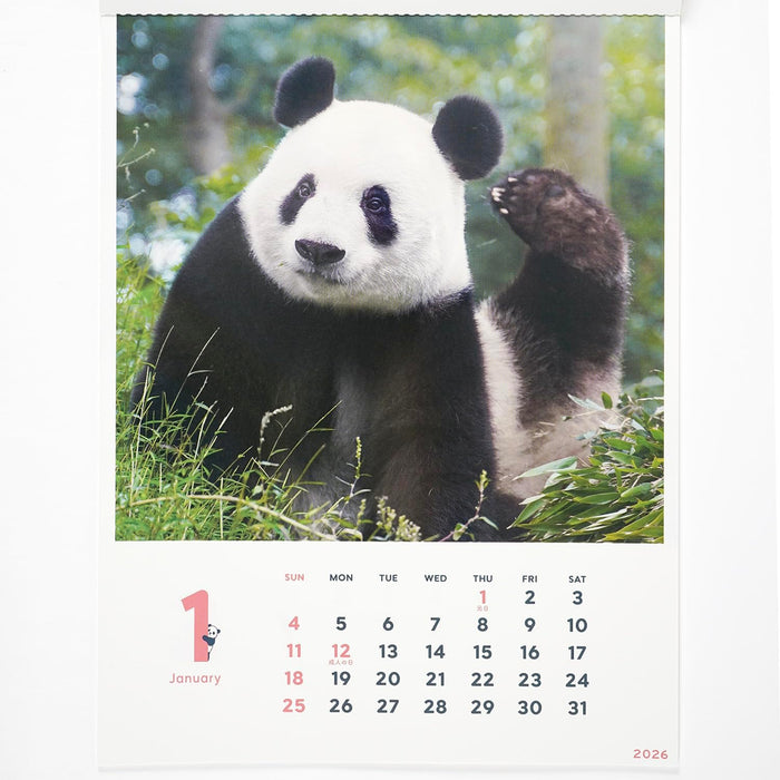 Greeting Life 2026 Wall Calendar Xiang Xiang Panda C-1740-PA