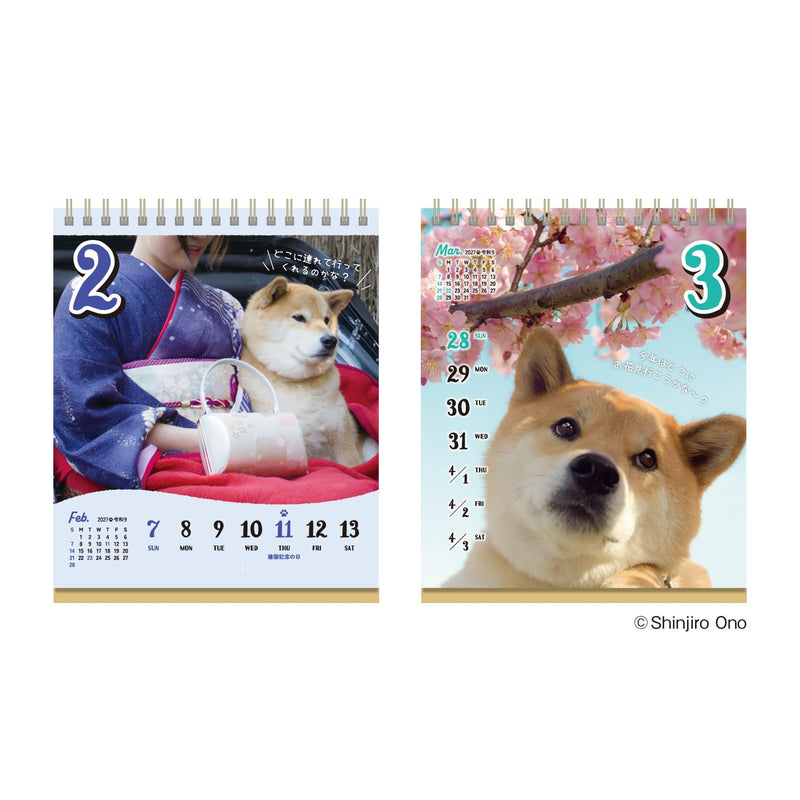 Eco Wall Calendar 2027 Modified B2 E31